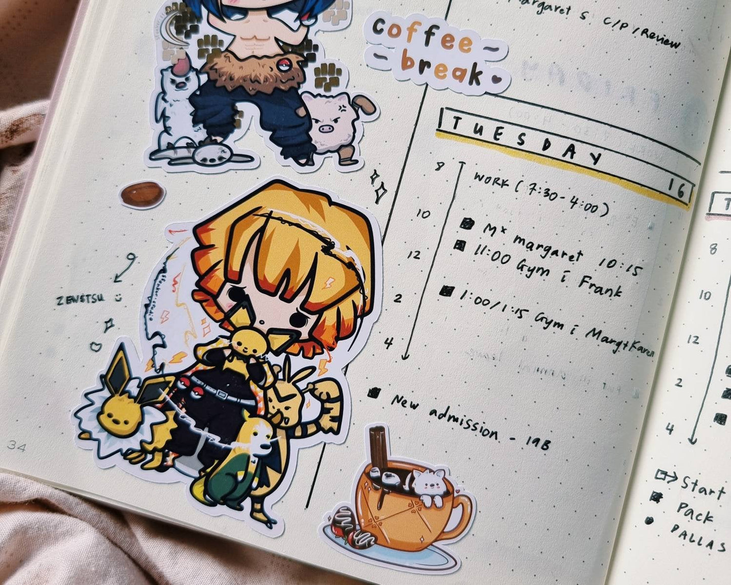 DS-Z Sticker